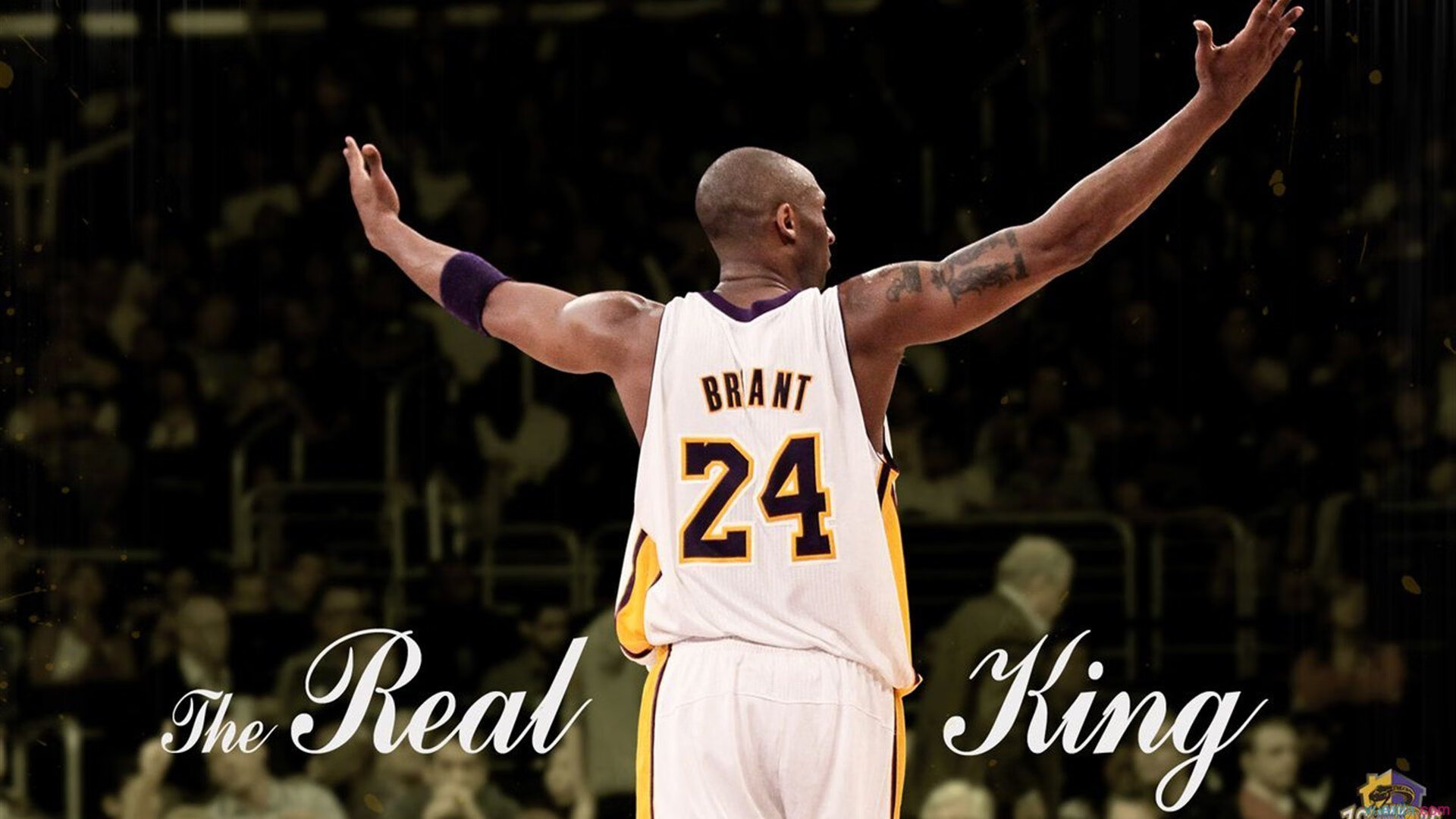 C罗新星比赛规则变更表现突出，澳大利亚队前途光明！观众掌声雷动