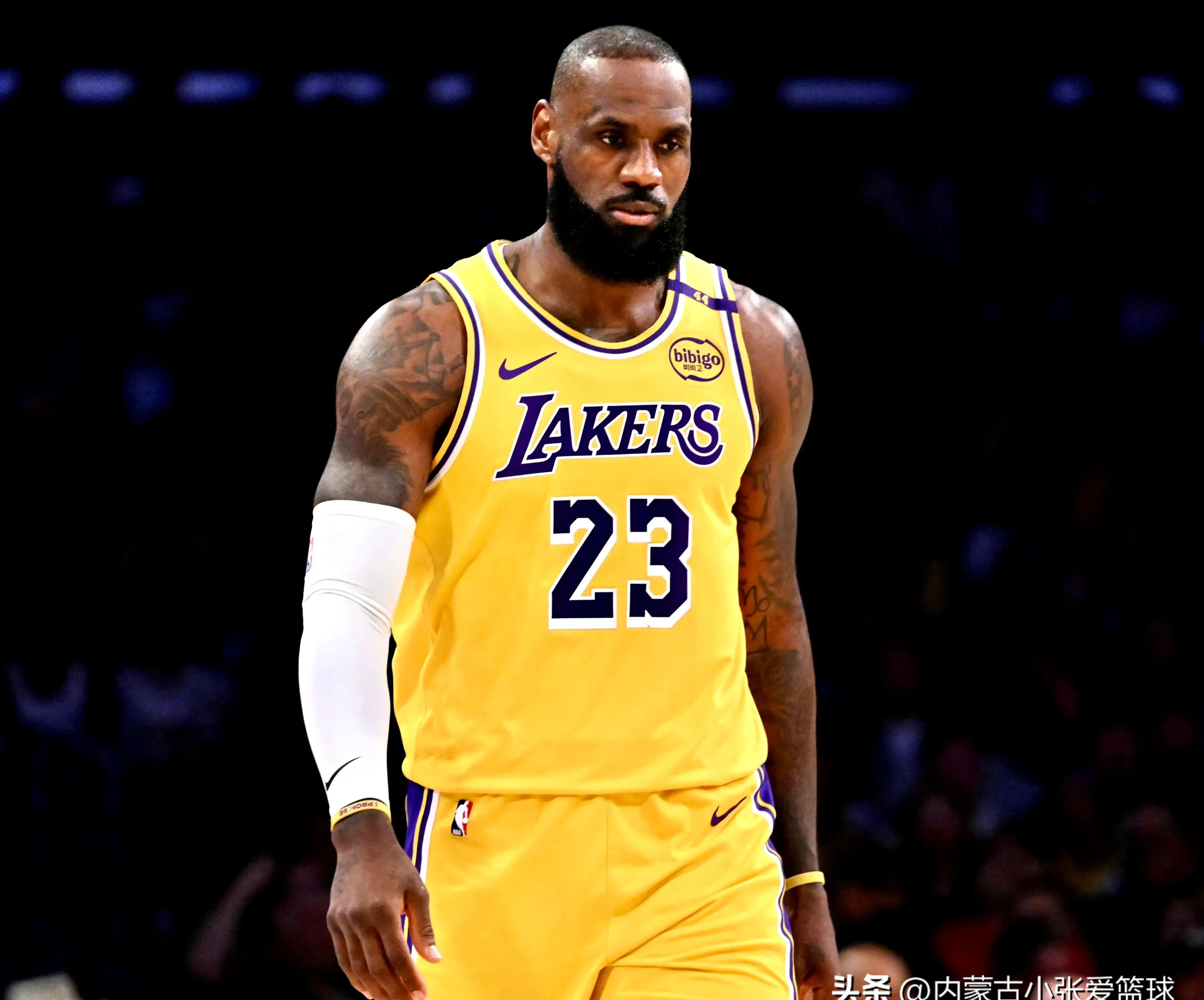 关于詹姆斯回归赛场，绝杀首场状态亮眼，拜仁观众沸腾！的信息爱游戏官方